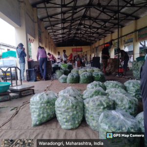 AUCTION_HALL_1_original